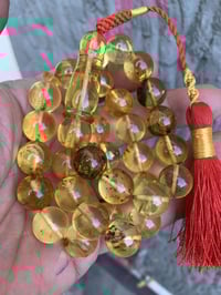 مسباح • كهرماني طبيعي • حشرات منقرضة