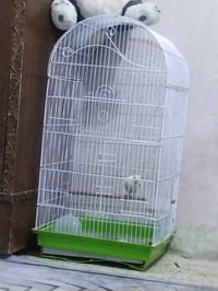 قفص جديد • ٢٠ • فيه مجال