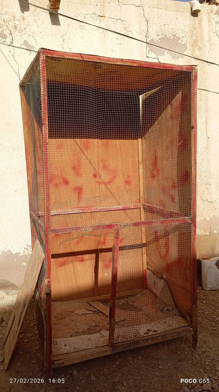 اقفاصه
للبيع سعر الواحد 25
عنوان ديوانيه
***********
