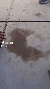 عمل وأعاده ماستك للاسطح معى طلاء ماده الروف كوت البيضاء  معى غسل وتنظي...