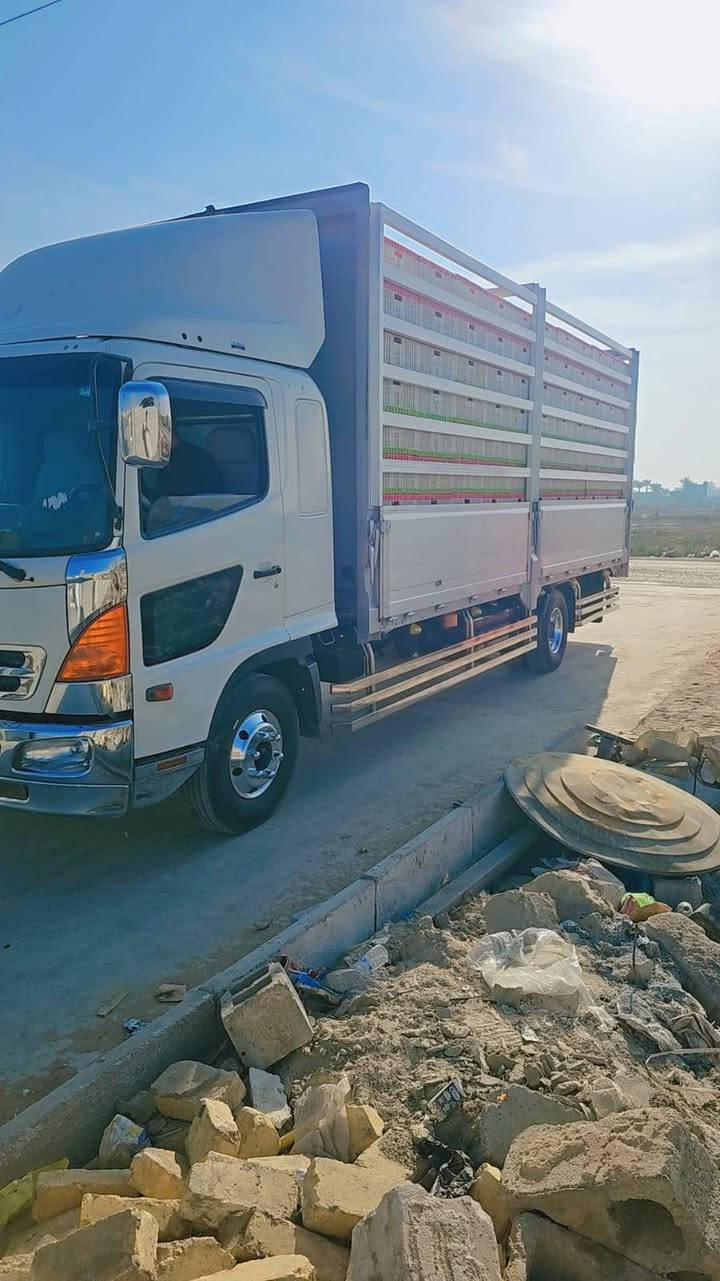 سلام عليكم هينو للبيع شيطان 6وربع بلاد فاكيوم فول عادي السعر 3و10وبيهه مجال الا ستفسار ***********
