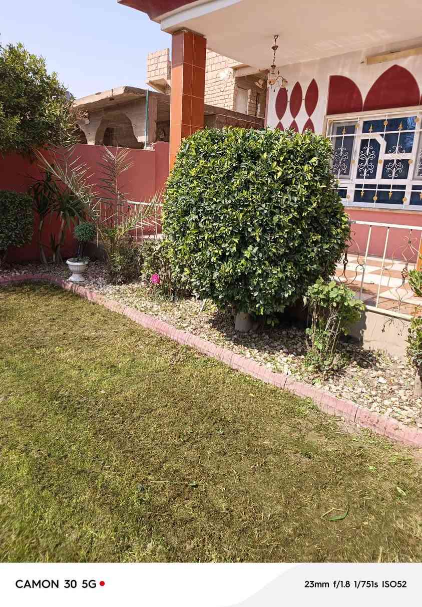 السلام عليكم اشتغل جميع الحدائق والبساتين  وتنظيف الحدائق من الدغل وتقليم الأشجار وزرع الشتل وقص الحدائق بل مكينه عل نمره وحدة وقص الأشجار الكبار  كادر متميز وسريع إتصل رقم الهاتف***********
