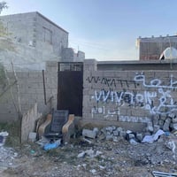 قطعة زراعي 100 متر  واقع حال قرار 117 البيع صايرة بدور الصحة بين الاما...