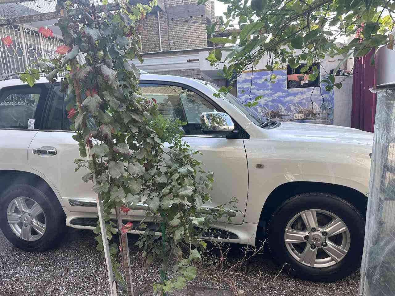 السلام عليكم لاندكروز للبيع موديل ٢٠٠٩ السياره جديده ابدون حادث ولا صبغ مكينه ٦ سلندر بصمه كفاله عامه مكينه مامفتوحه رقم دولي تحويل مباشر العنوان بغداد مدينة الصدر السعر ٢٨٠ بيهه مجال / ***********
