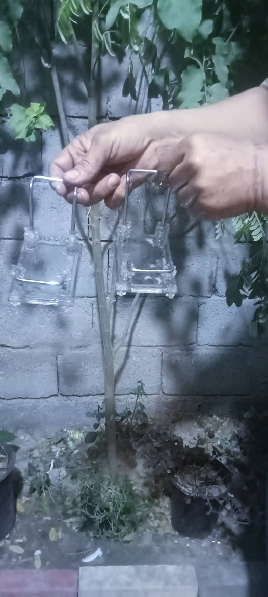 عندي ذني كارتونتين اشتريت غراض وشتريت ذني وياهن يمكن مال عرض احذيه اليعرفهن اريد ابيعهن وهذا رقمي ***********
