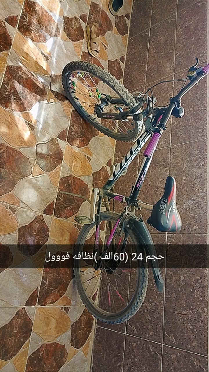 بايسكل عدد ٢للبيع


**إذا كنت صاحب هذا الإعلان وتريد حذفه لأي سبب، رجاءا أرسل رسالة إلى الدعم الفني**