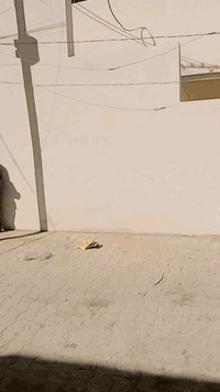 السلام عليكم
دار للبيع المساحه 100متر مكانة شارع البدراج 
اول فرع خدمات كاملة الاستفسار ***********
