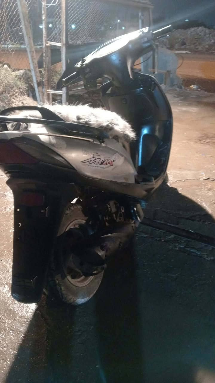 ماكس ١٤٠كلهه بلاديه كبيرته مكينه كفرات  ناعمه شلعه معدل دهن جديد لا نضوح لا تبخير لا صوت  نكره بكل وقت  خير من  الله سعر ٢٥٠   المكان الغزاليه شاري يتصل مزجر وتساب
***********
