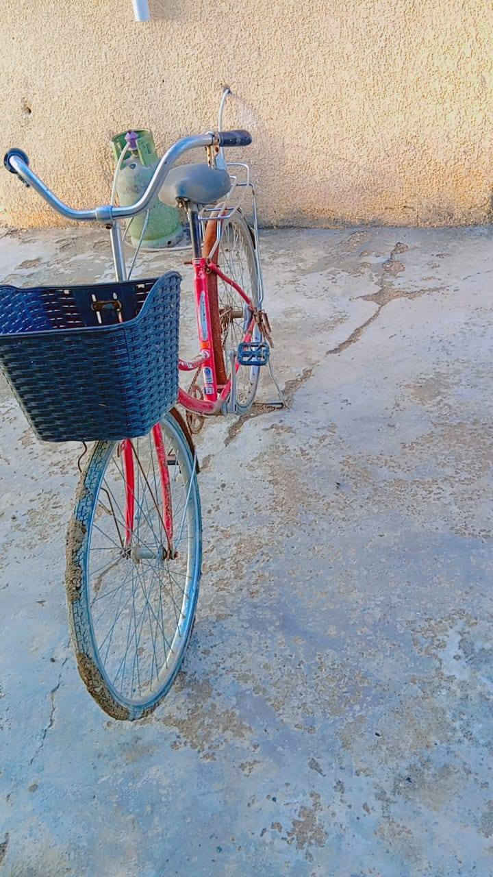 بايسكل للبيع السعر ٣٥ بيه مجال قليل 
موجود خاص او اتصل على الرقم ***********
