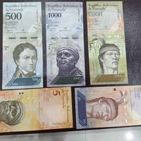 سيتين فنزولا • قبل ٢٠١٨ • بعد ٢٠١٨