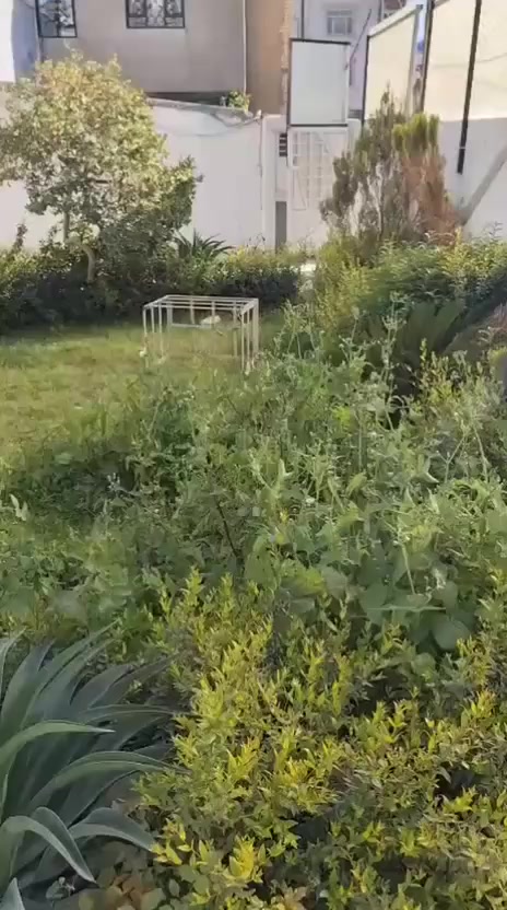 بيت الايجار حي الجامعه 300م سكني أو تجاري الاستفسار ***********
