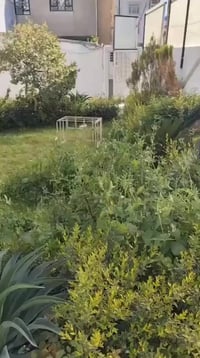 بيت الايجار حي الجامعه 300م سكني أو تجاري الاستفسار 07711376174