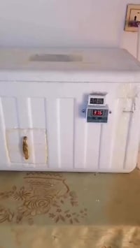 مكلف بالنشر متاح فقاسه للبيع  سعة ٦٠ بيضه  شرط التفقيس  سعر 35   07750...