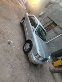 راس الثور أرنب السعر85 كفاله من الضربه والكصه ونقل 07703615334