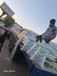 داب الأردني السنبلتين • توصيل مجاني • بابل الكفل