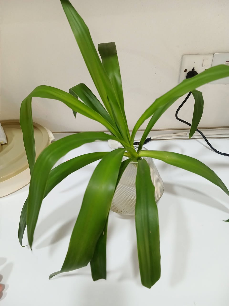 سموود


**إذا كنت صاحب هذا الإعلان وتريد حذفه لأي سبب، رجاءا أرسل رسالة إلى الدعم الفني**