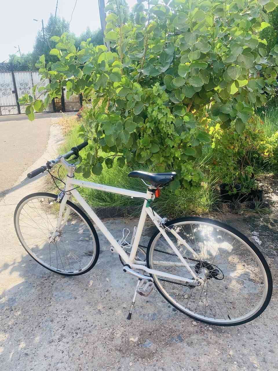 باسكل سبورت خفيف وسريع مناسب للمشاوير والرياضة داخل المدينة.
حركة ناعمة وقيادة مريحة، جاهز للاستخدام مباشرة.

المواصفات:

✅ إطار خفيف وقوي

✅ كير خلفية يعمل بشكل جيد

✅ بريك ممتازة

✅ تايرات رفيعة تعطي سرعة وثبات

الحالة: جيد جداً ومستعمل استخدام خفيف.

 السعر: 85 ألف دينار 

🔁 ممكن مراوس أيضاً 

 السعر قابل للتفاوض البسيط


**إذا كنت صاحب هذا الإعلان وتريد حذفه لأي سبب، رجاءا أرسل رسالة إلى الدعم الفني**