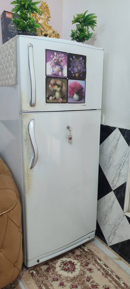 ثلاجة كونكورد حجم 26 شغالة ماطور ماليزي ما داخل تصليح فقط الاوتوماتيك مبدل ولا توجد جرارات السعر 250 العنوان حي الجزائر للأستفسار الأتصال على الرقم ***********
