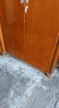 كنتور عالي حل وشد 6 بيبان شغله مرتب وقوي تفصيخ قطع سعره 180 مكاني رميثه سوك سفان قرب  جامع ال شاهر ع شط محل ركن اشتري ميوزه نضد كناتير دزلي صور خاص أو وتساب 
توصيل موجود 
***********
