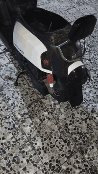 للبيع بوليس كله بلاد بس كفر لمامي بي كسر وسويته ترهيم ورادله صبغ وتساب...