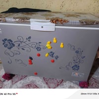 مجمدة • درجة أولى • نجف