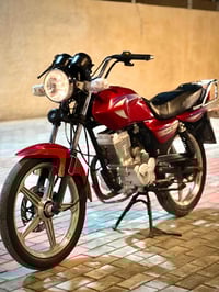 دايون عظم • ٢٠١٩ • بليته