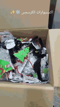 ‎✨ منتجاتنا متوفرة بالجملة ✨
‎جودة عالية ▪ أسعار مميزة ▪ توصيل سريع

‎للطلب والاستفسار يمكنكم مراسلتنا عبر صفحتنا أو عن طريق الرقم: (***********)
