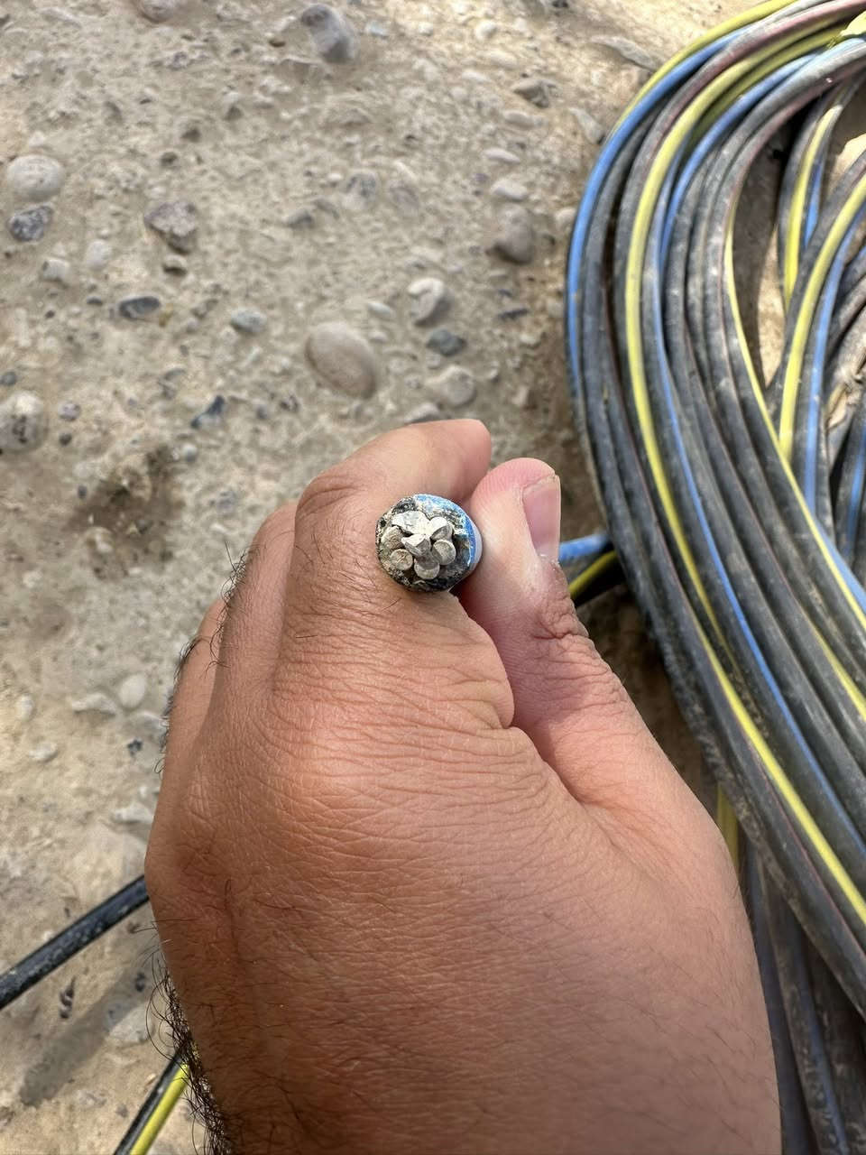 ضفيرة جديدة تركية غير مستعملة 
طولها ٣٠٠ متر 
ام ٤ خطوط 
ام ٦٠
العنوان /كنعان ام


**إذا كنت صاحب هذا الإعلان وتريد حذفه لأي سبب، رجاءا أرسل رسالة إلى الدعم الفني**