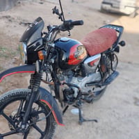 بوكسر جبلي • 2023 • مامفتوحه