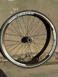 ويل فكسد • صينيه ٥٠سن • ١٧سن