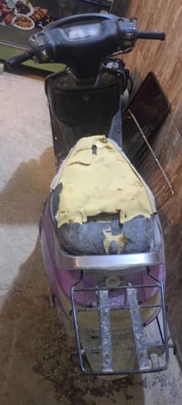 فراشة • النجف