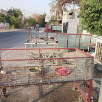 ب غراض محل البيع حوض سمك كبير طول 2متر جام شوايه اغفاص دجاج 13قفص قفص ...