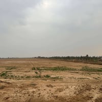 13 دونم للبيع  موقعهن بغداد بوب الشام طابو زراعي سند 25  خدمات كاملة ك...