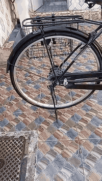 السلام عليكم ورحمة الله وبركاته بسبب الوعود الكاذبه اعاده النشر  بايسكل بناتي حجم 26للبيع واسط العزيزيه السعر خاص او الاتصال على الرقم /***********
