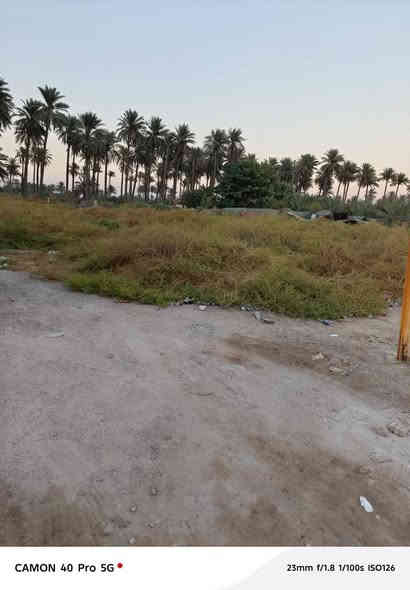 (مكلف بالنشر) 

قطعه ارض100 للبيع 

نوع العقار زراعي سند25

___________________

السريدات شارع الجزيرة  (شارع 15) 

قبل الباب الثاني للجزيره

مساحه الارض 100متر____

واجه 6متر ____

نزال 17متر____

♤_________////________/////

سعر الارض23 مليون وبيه مجال  ●●●●●●●●●●●●●●●

مرؤوووج عقارات عامة 

●●●●●●●●●●●●●●●

للاستفسار حول الموضوع اتصل على الرقم 

***********📞
