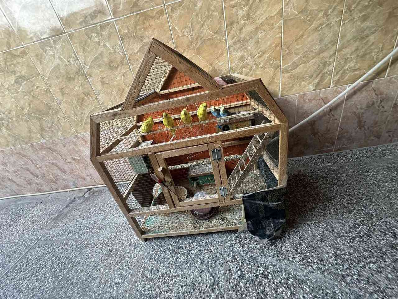 طيور حب 3زواج مع القفص اكبار خشنات مو مخاليف 65وبيهن مجال


**إذا كنت صاحب هذا الإعلان وتريد حذفه لأي سبب، رجاءا أرسل رسالة إلى الدعم الفني**