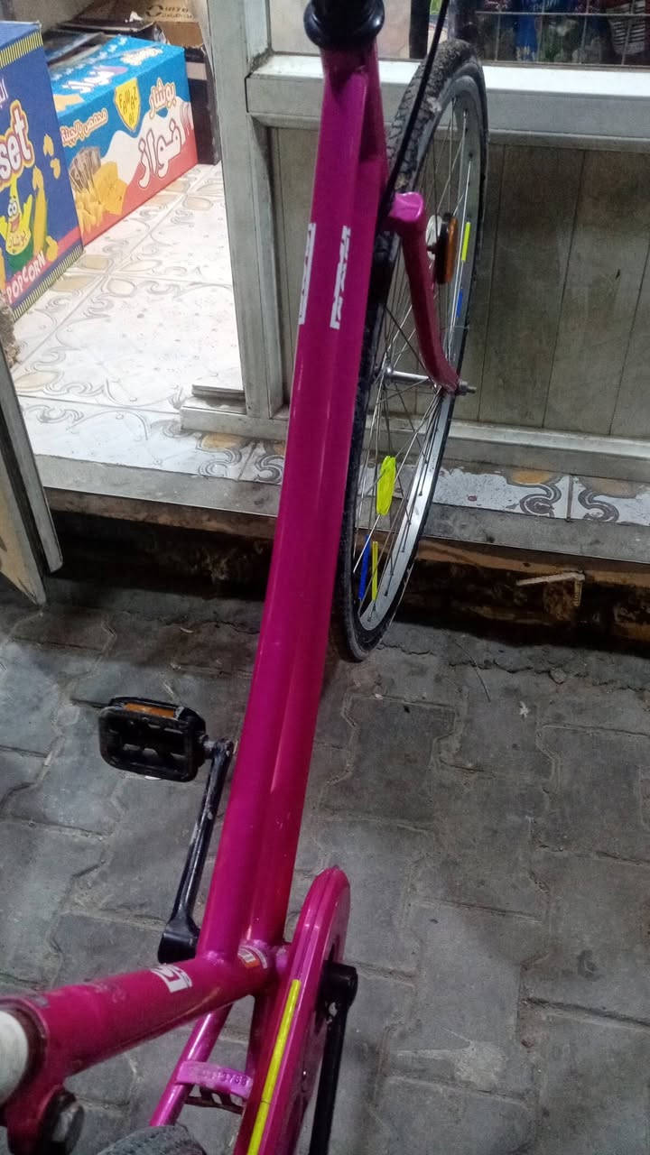 سلام عليكم ♥️.
بايسكل حجم 26 البيع 😉.
لون وردي 💥.
شركه كلوف مميزهه💙☺️.
مراوس ب شركه بي دي💚😀.
موديل 2019 ياباني 💜💫.
نضافه 90/100☺️🧡.
السعر 125👑💖.
العنوان كربلاء حي العامل منطقه السادسه يم ازياء علي الهندي يم شركة الأماني يم البان الفجر البايسكل مرتب 👑🤍.


**إذا كنت صاحب هذا الإعلان وتريد حذفه لأي سبب، رجاءا أرسل رسالة إلى الدعم الفني**