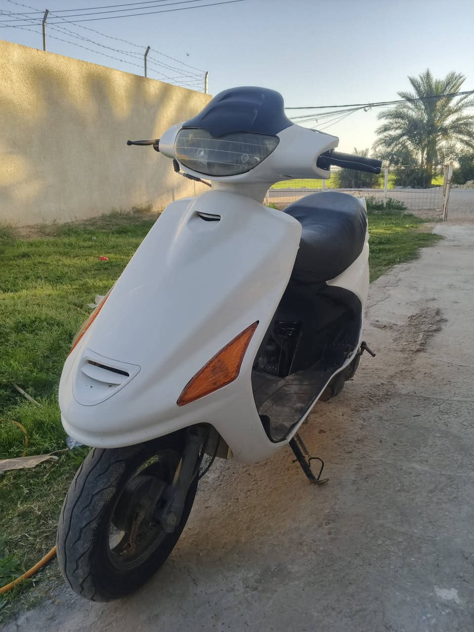 دراجه فحل للبيع دراجه حلوه ونضيفه العنوان نجف مشخاب الشراي اتصل وبيك خير وتدلل  الرقم ‏‪***********‬‏
