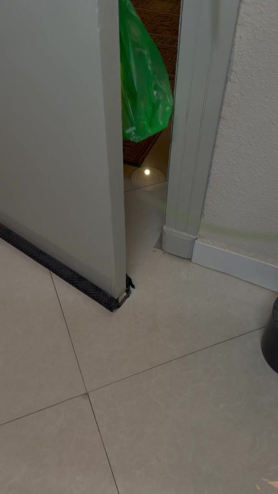 DoorShield حماية إضافية أينما كنت! جهاز إنذار محمول للأبواب بقدرة 120 ديسيبل يمنحك حماية فورية من محاولات التسلل أو الدخول غير المصرح به، مع مستويي حساسية قابلين للتعديل ليكون رفيقك المثالي للأمان في الفنادق، الشقق، المنازل وأثناء السفر.


**إذا كنت صاحب هذا الإعلان وتريد حذفه لأي سبب، رجاءا أرسل رسالة إلى الدعم الفني**