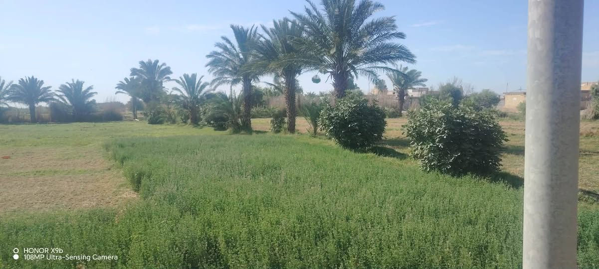 سلام عليكم ارض زراعيه للبيع تحتوي عله بيتين واحد جاهز وثاني واصل للصب وجميع الخدماته متوفره عله طريق الابنجيم للستفسار عله رقم ***********
