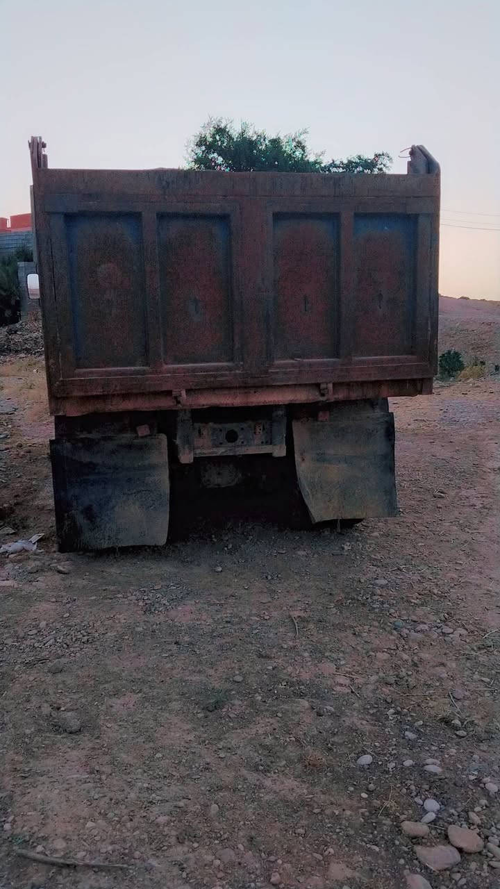 سلام عليكم كلابة مان صقر للبيع وهاي الكلابة مثل ما بصورة ***********
