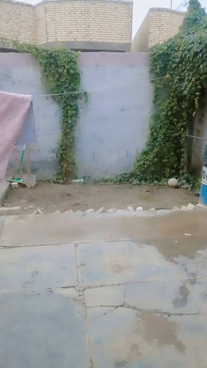 بيت للبيع بلداينيه طابو زراعي سند٢٥ المساحه ٢٠٠ متر نقصه بس بيتونه البيت كامل من مجاري وماي للاستفسار الاتصال ***********
