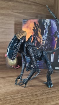 مجسمات نيكا • مجسمات مفصلية • توصيل لجميع المحافظات