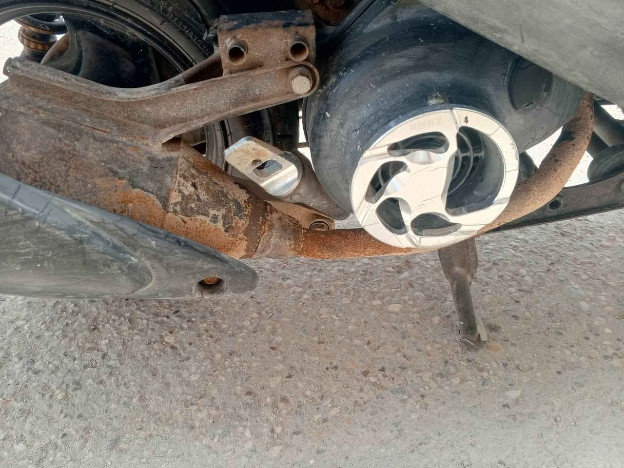 تزويد بلاد اصليييي للبيع كلهن ***********
