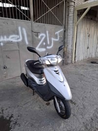 ببغاء • ٢٠١٠ • بغداد