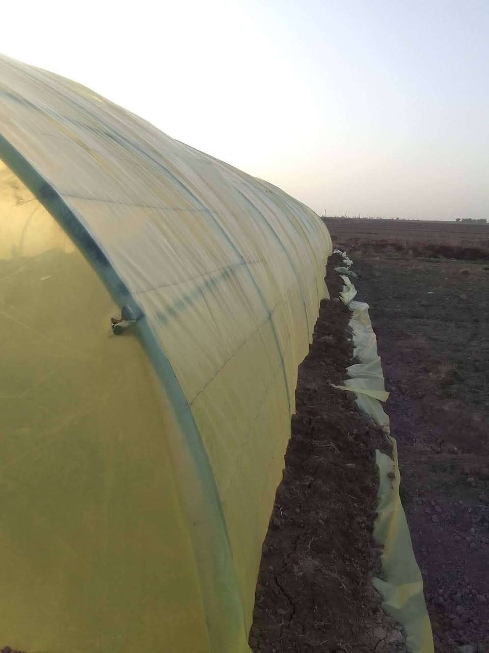 السلام عليكم بيت زجاجي للبيع استلاام جديد السعر مليون وبي مجال قليل المكان الدوايه للاستفسار الاتصال على الرقم ***********
