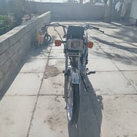 شاصي 13 • مكفولة • أوراق