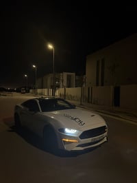موستنك ايكو بوست 2023 بلاك ادشن حادث خفيف جداً وسطحي قطعه وحده صبغ كلش...
