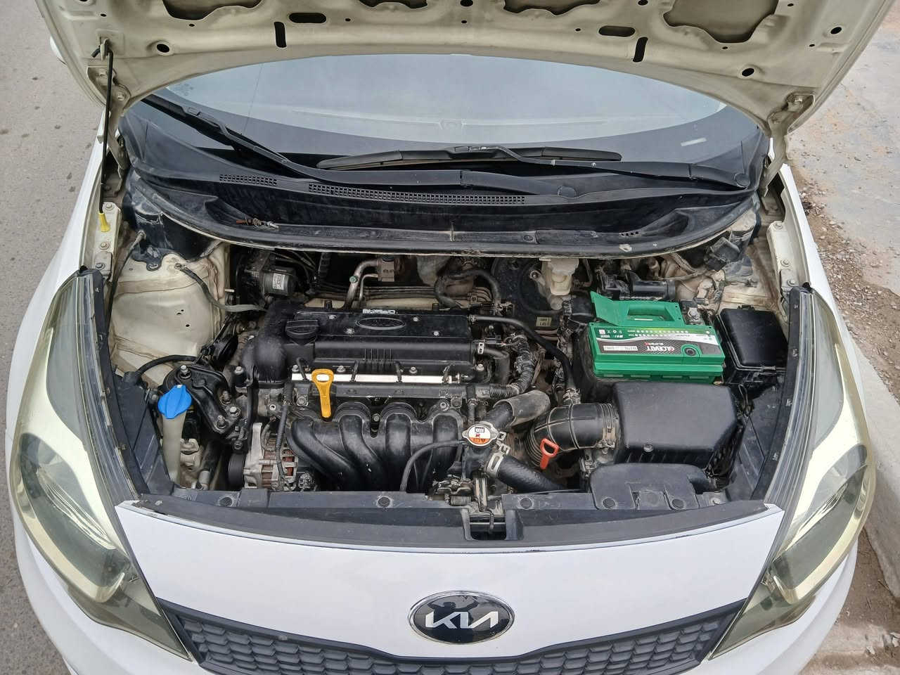 كيا ريو 2017 وارد خليجي 
 محرك دوش 1600 جديد مال حاويه
رقم اربيل  وكاله تحويل مضمونه السونر بصور   سعرها 88
*********** مكانها بغداد شعب
