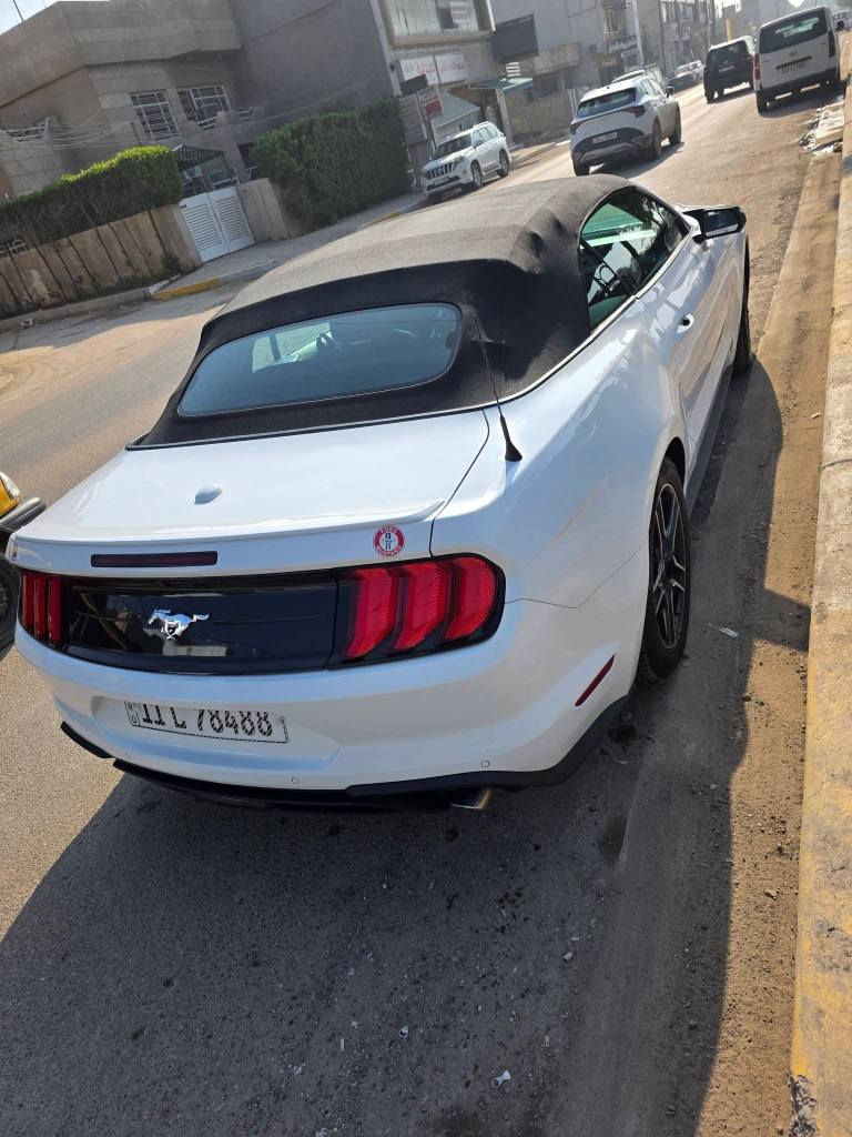 السلام عليكم للبيع او للمراوس موستنك ٢٠٢٣  ابيض ماشيه ٣١ الف ميل فول مواصفات بريميوم حادث بنيد وجاملغ وباب الصدر صبغ ٣ قطع راس  الشاصي ضرر وبدل جزء بسيط منه راجع بلاد والباقي كله جاهز رقم بغداد باسمي مكاني المنصور السعر ١٦٨ وبيها مجال *********** بغداد, العراق
